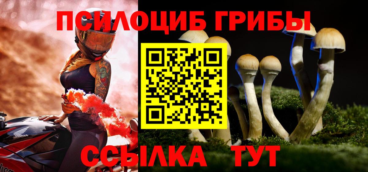 Псилоцибиновые грибы Cubensis Сергиев Посад