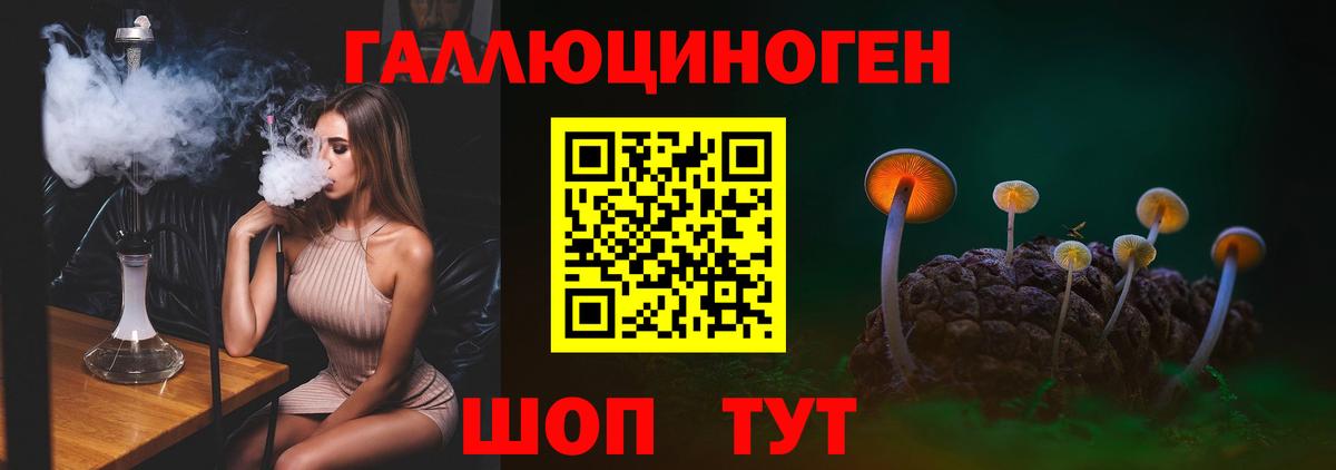 Сергиев Посад  Галлюциногенные грибы GOLDEN TEACHER  Псилоцибиновые грибы Psilocybine cubensis  Вход с VPN 
